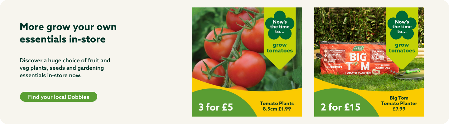 Grow your own essentials in-store