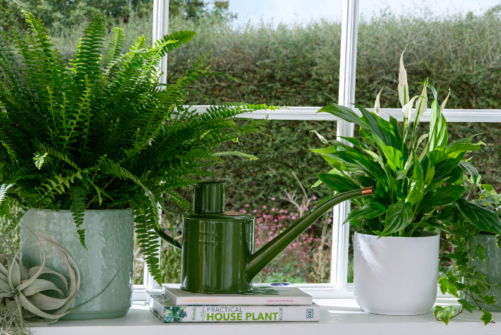 Gardening tips for April