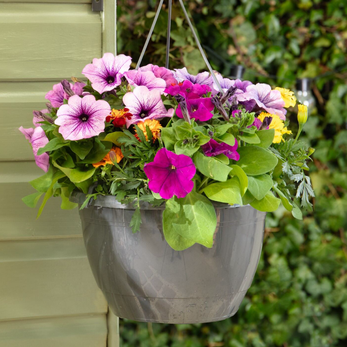 Gardening tips for April