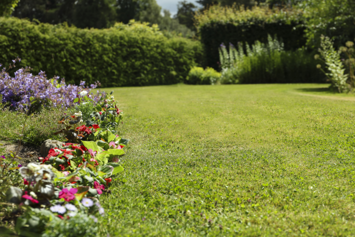 5 lawncare tips-mar