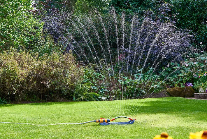 Water and feed your lawn 