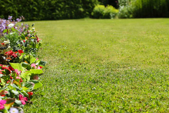 Five tips to keep your lawn looking great all year round