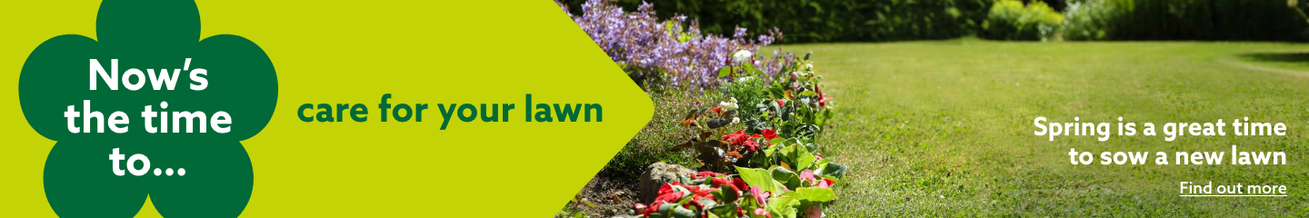 Now's the time to care for your lawn