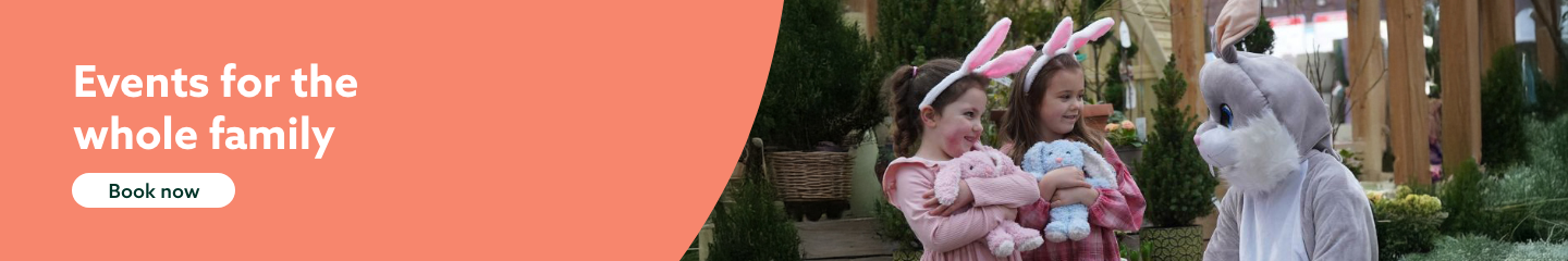 Events for the  whole family