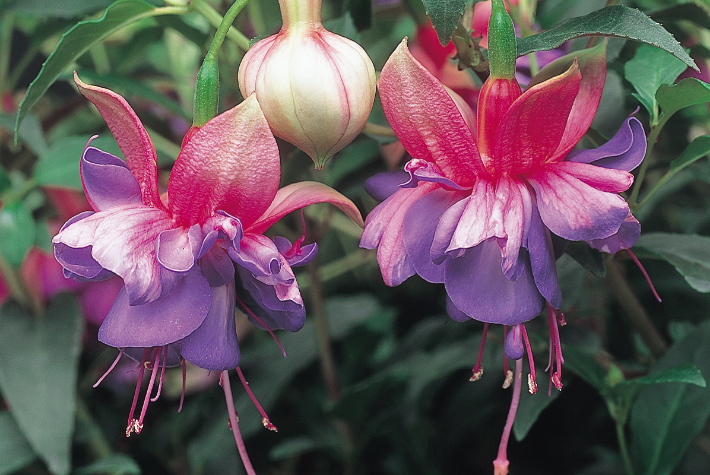 For small balconies, patios, and windows