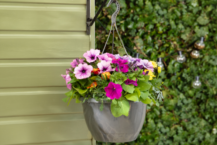 For starting a beginner’s garden 