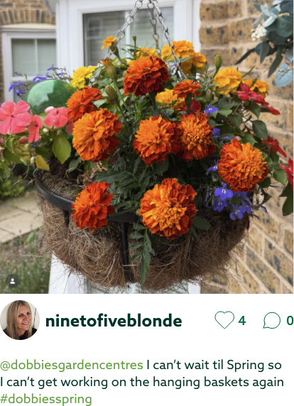 UGC-Bedding plants-ninetofiveblonde
