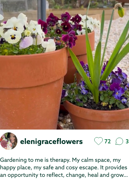 UGC-Bedding plants-elenigraceflowers