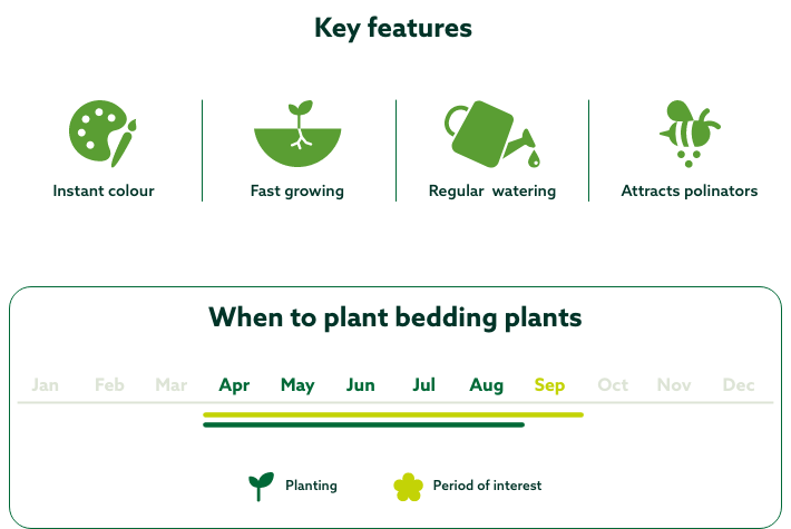 Hero prod-Key features-Bedding plants-mar-26-des.png