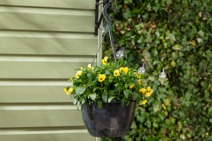 How to plant a hanging basket