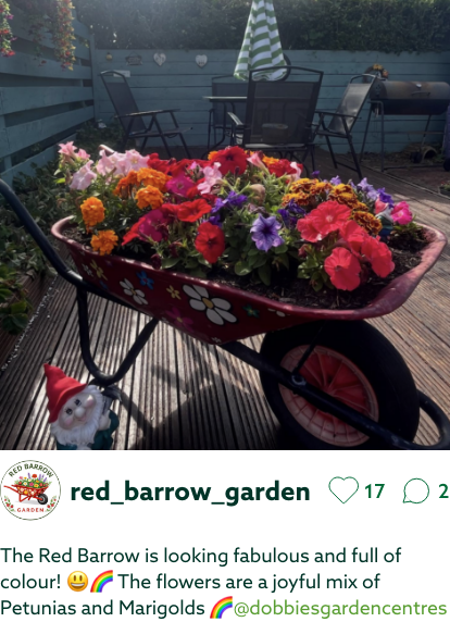 red_barrow_garden