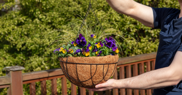 How to plant a hanging basket