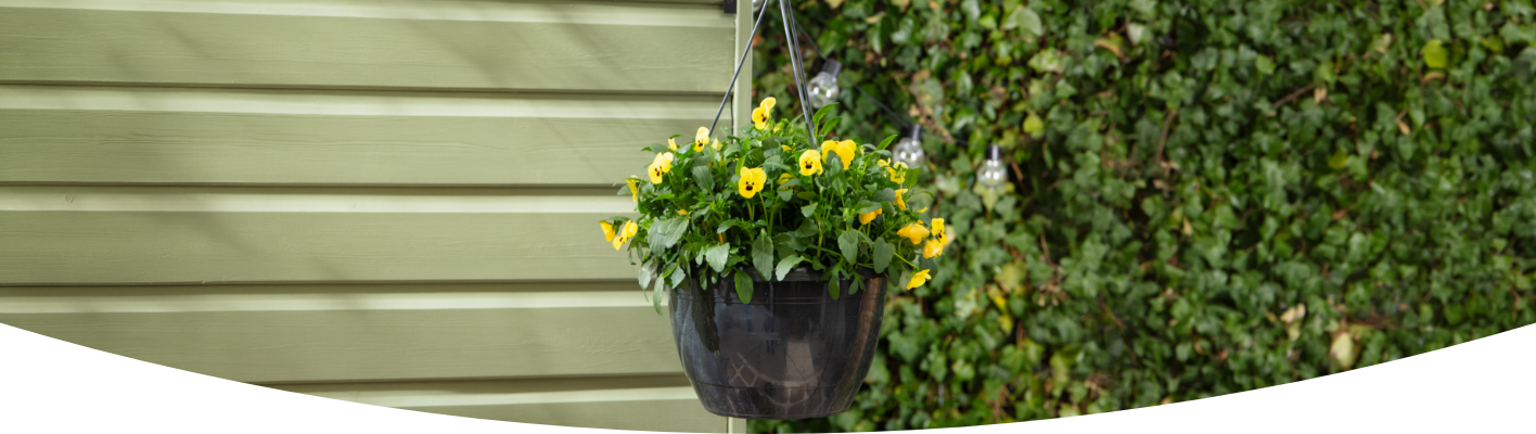 How to plant a hanging basket