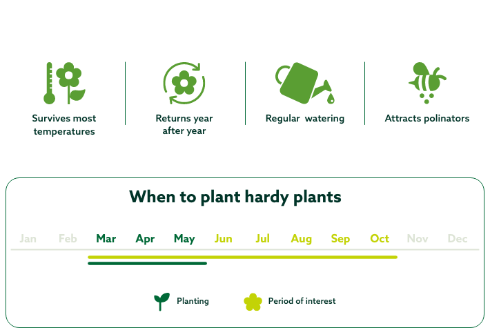 Hardy plants key features