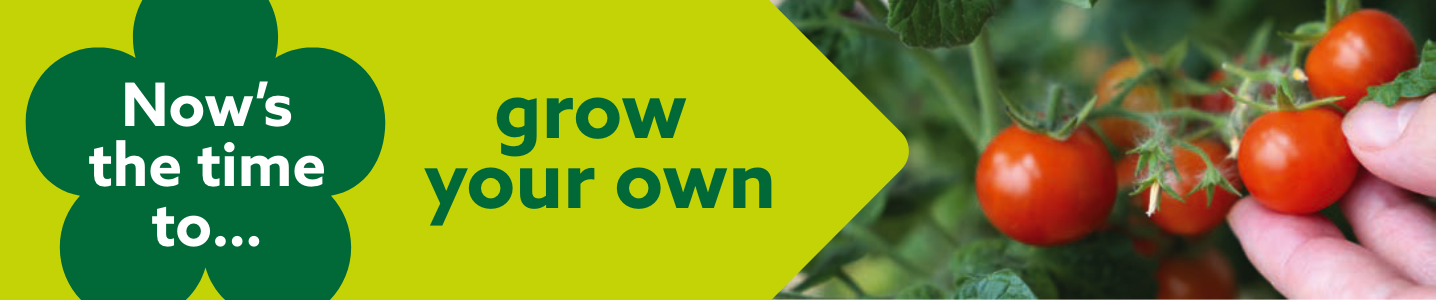 Now’s the time to grow your own