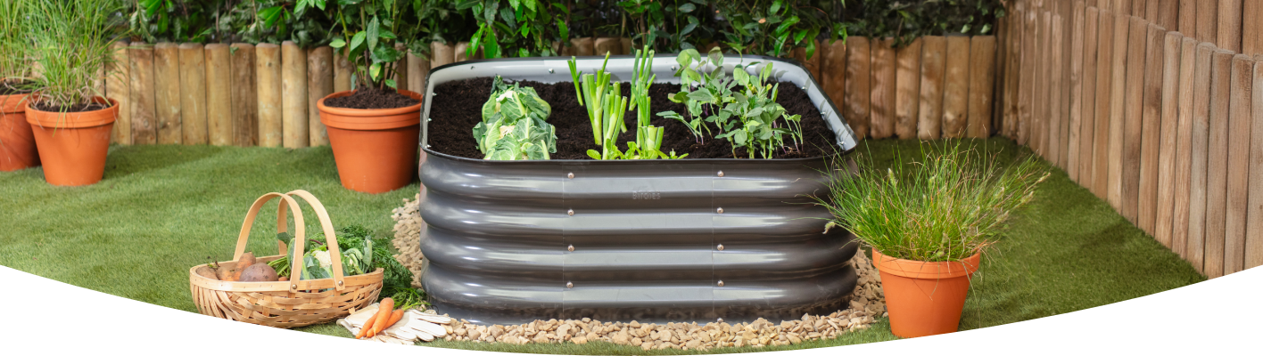 Five steps to start growing your own fruit and vegetable patch