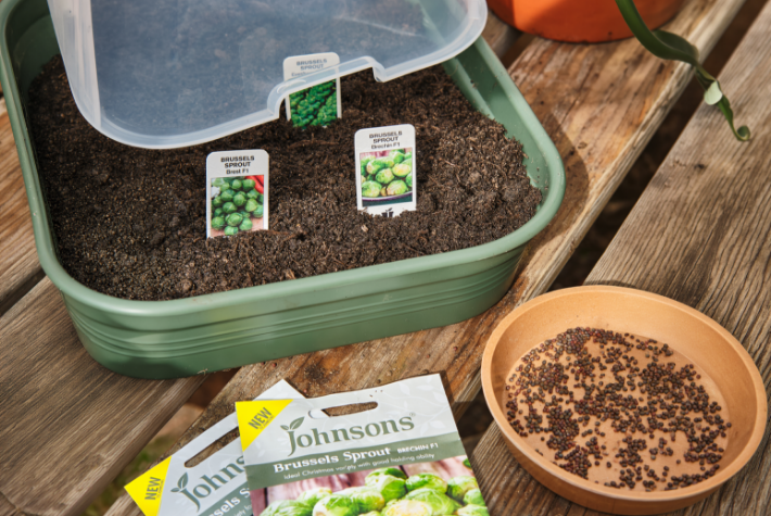 Planning what to grow