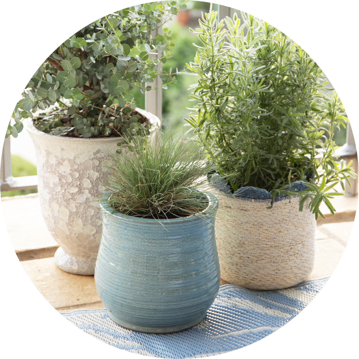 Pots & planters