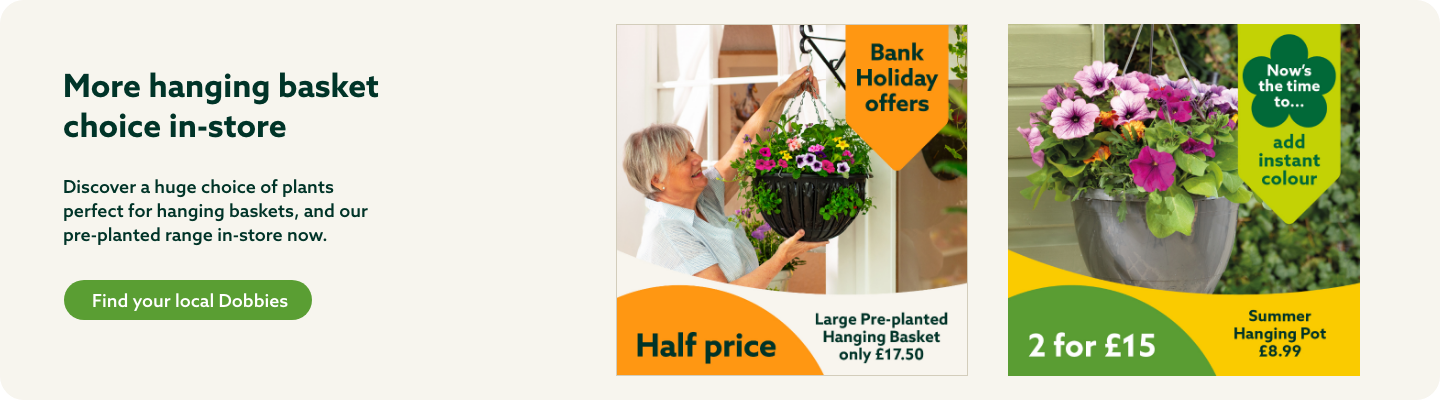 Hanging Baskets-in-store offers