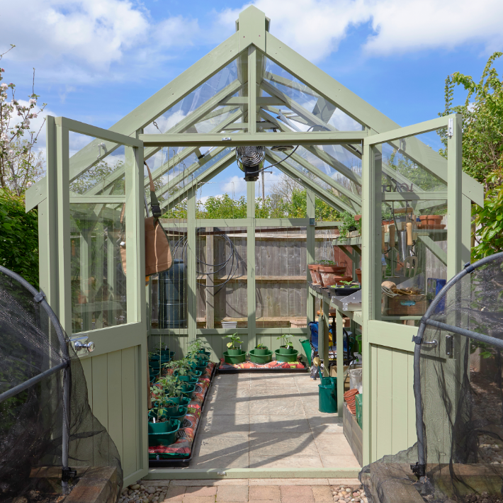 What is best for beginners to plant in a greenhouse?