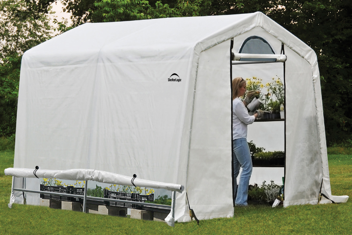 What is best for beginners to plant in a greenhouse?