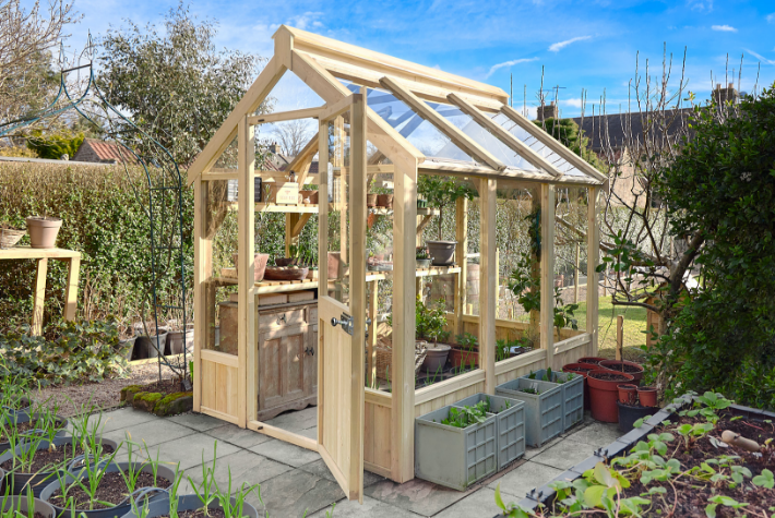 What is best for beginners to plant in a greenhouse?