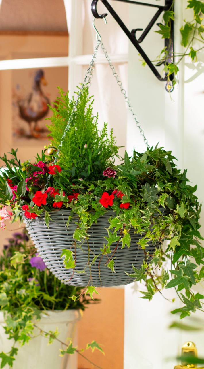 Gardening tips for June