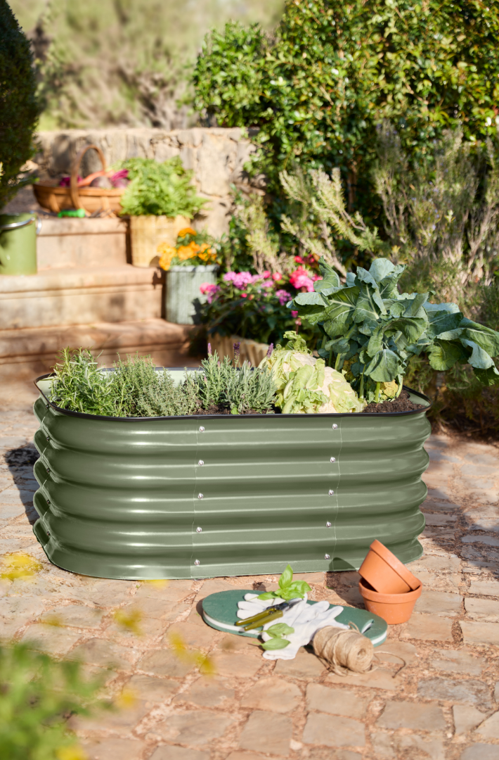 Gardening tips for June