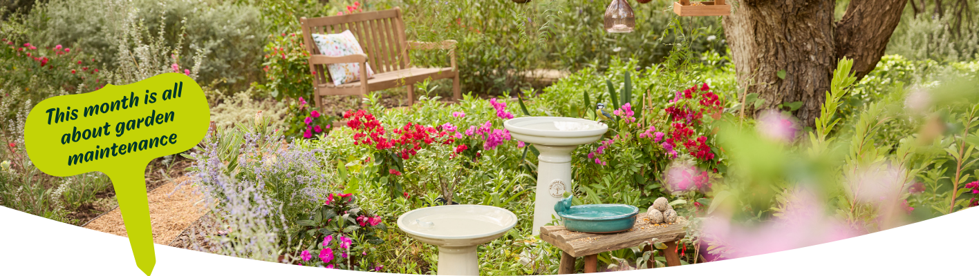 Gardening tips for June