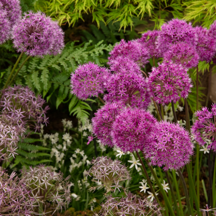 Inspired by RHS Chelsea Flower Show