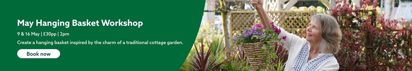 May Hanging Basket Workshop