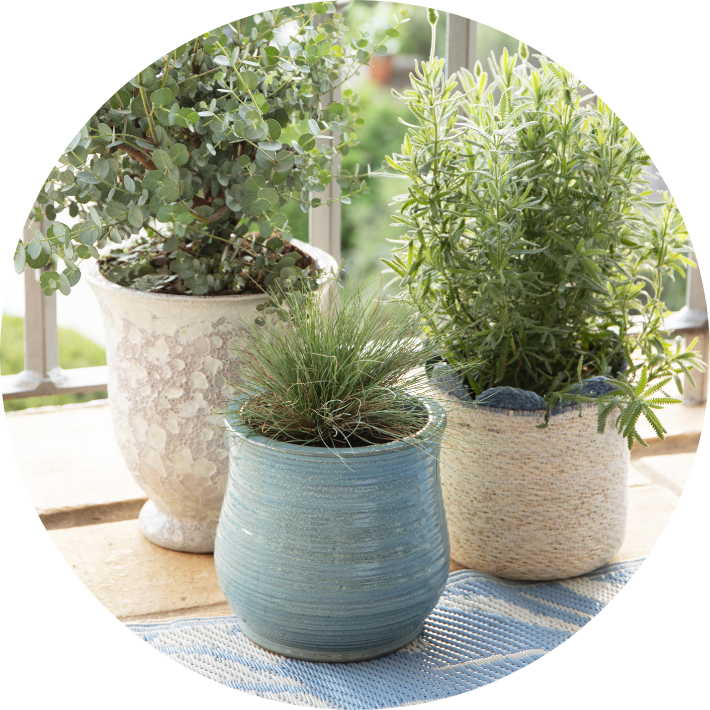 Pots & Planters