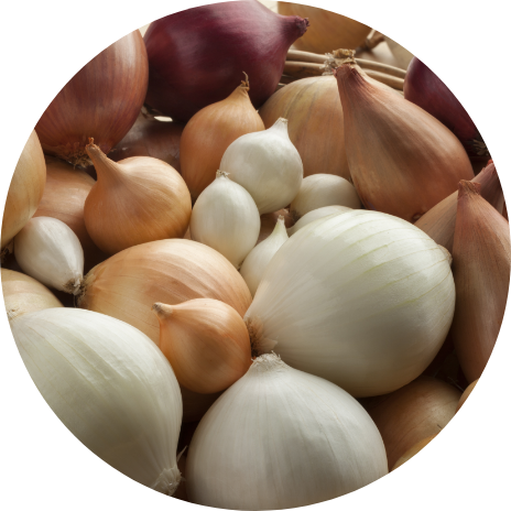 Onion & Garlic Sets
