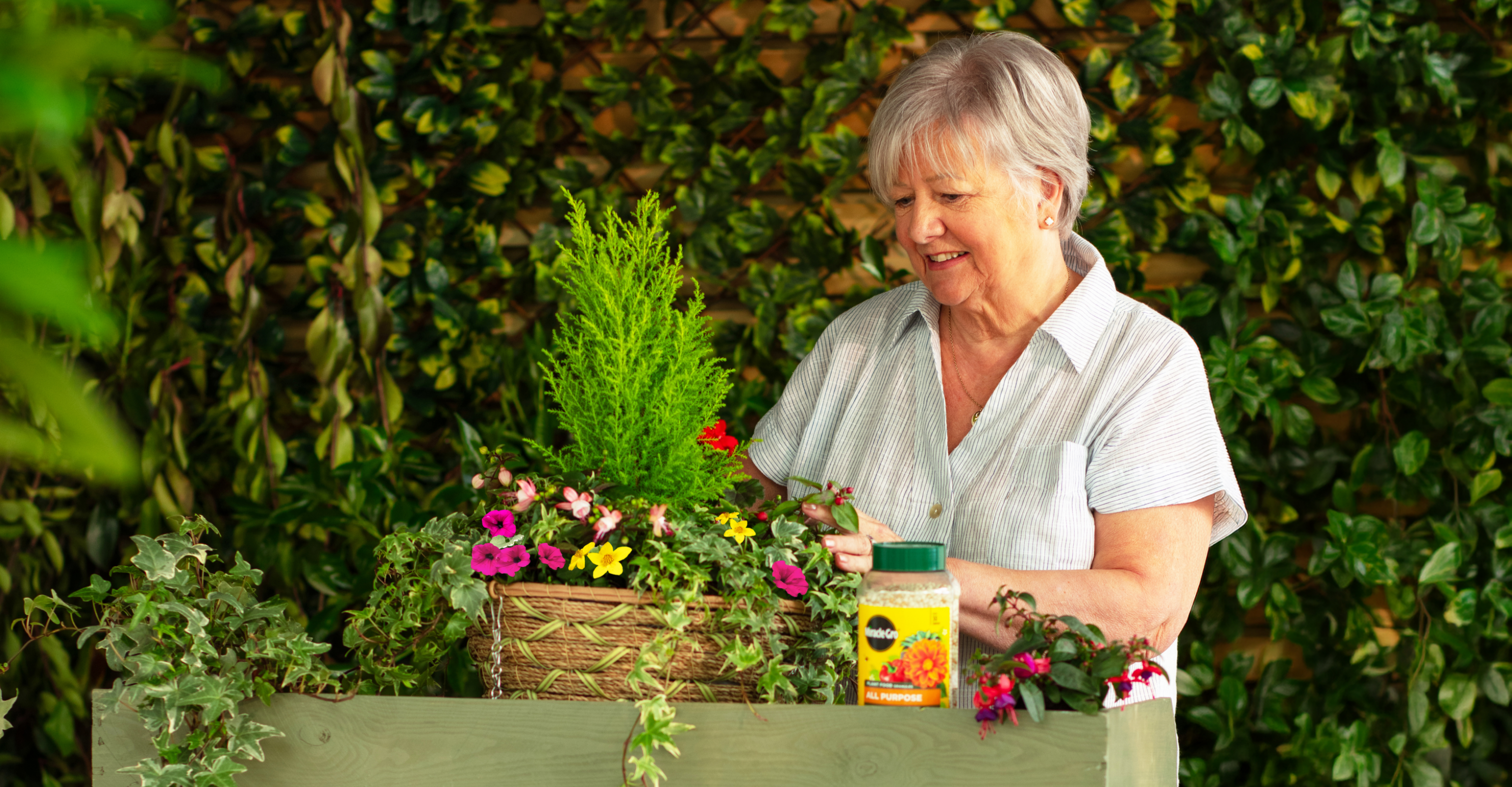 How to plant a hanging basket