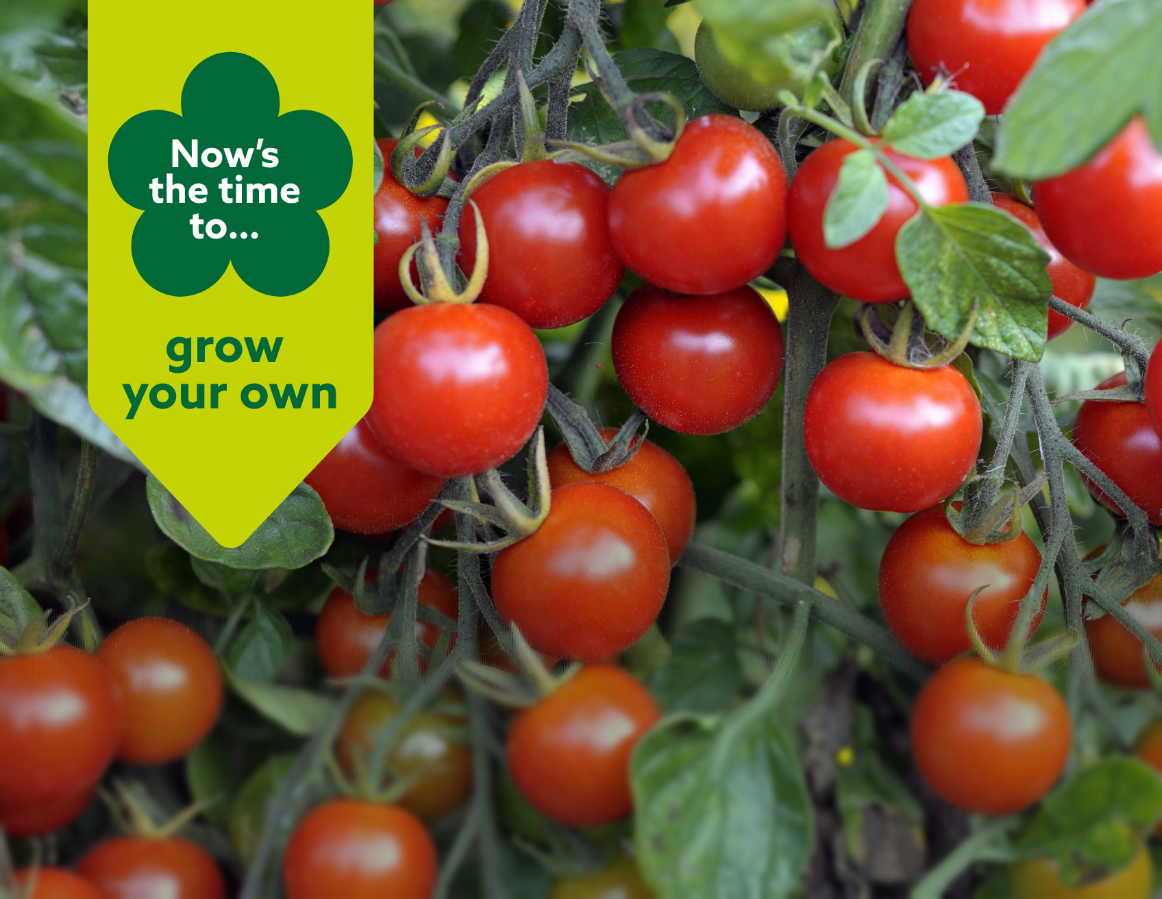 Grow your own
