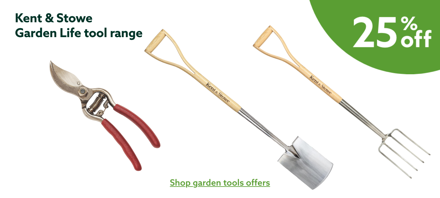 25% off Kent & Stowe