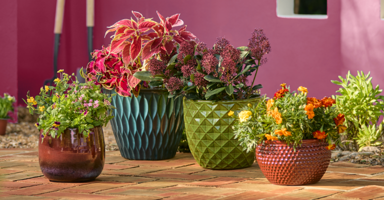 lp-Hanging Baskets-Blog-How to plant flowers in a pot-may-26.png
