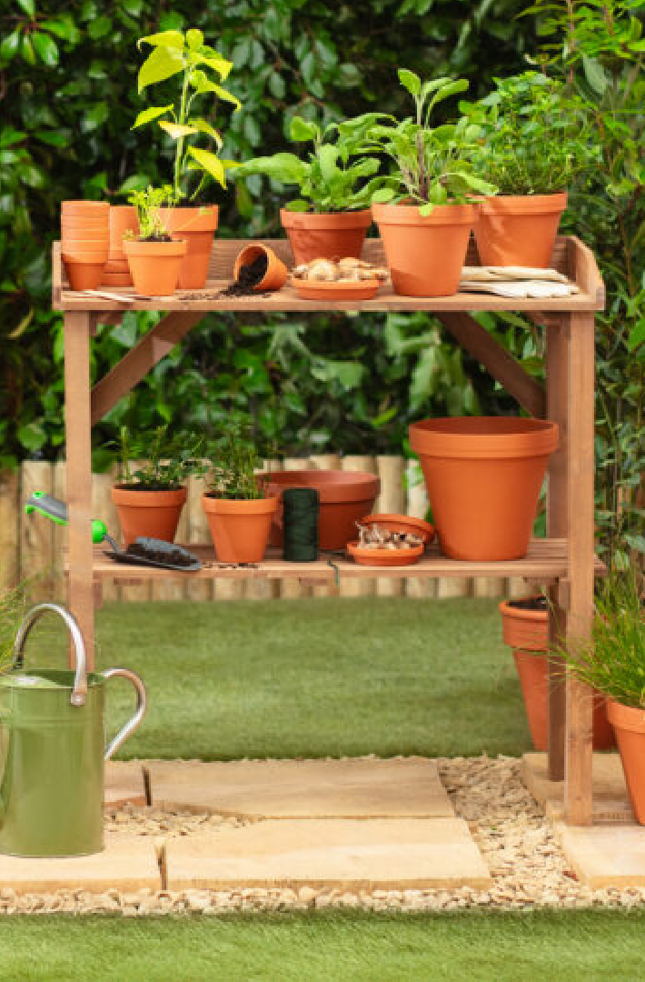 Gardening tips for May
