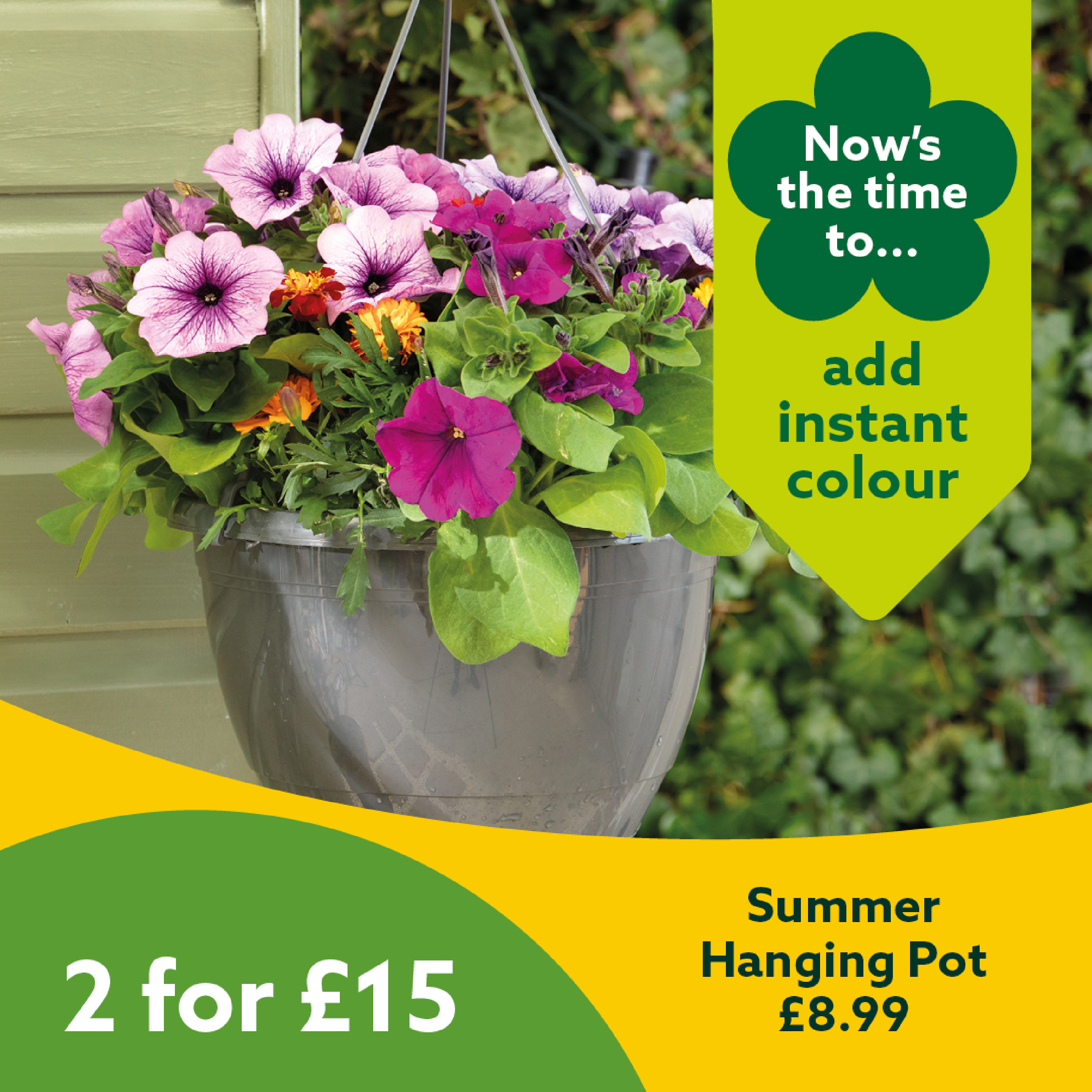Summer Hanging Pot