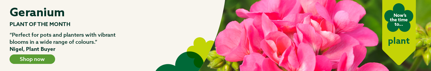Plant of the month