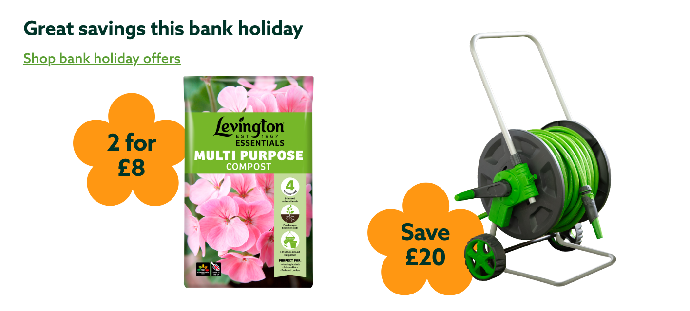 Bank holiday offers
