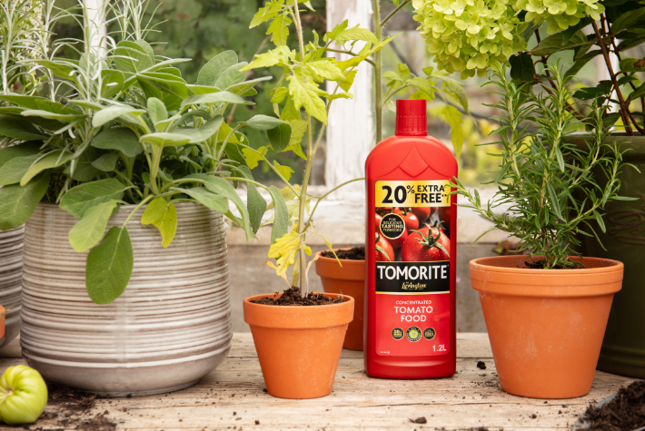 What is a potting shed?