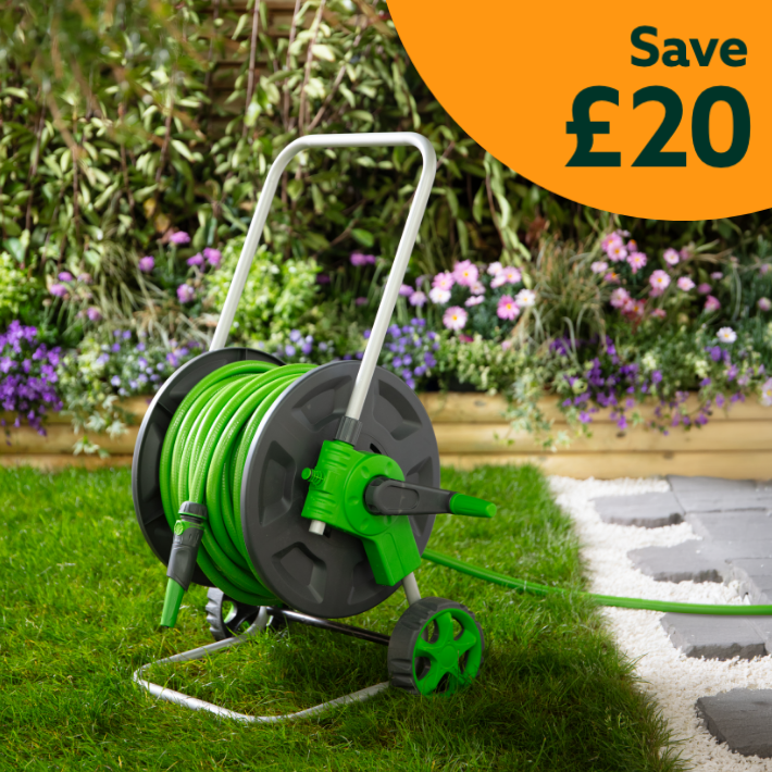 Save £20 Bank holiday offer