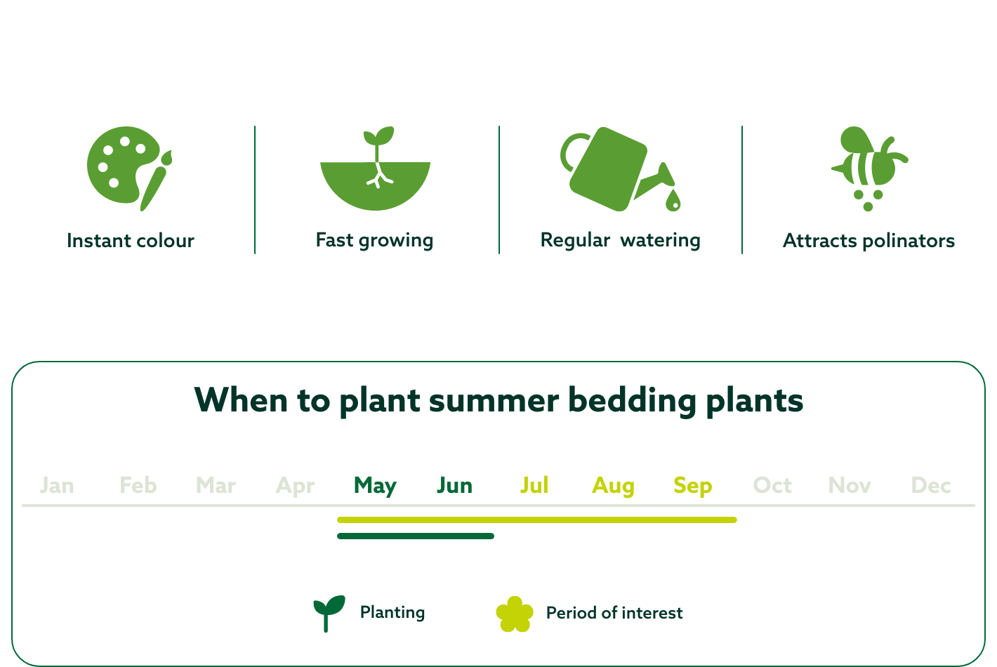Key features-Summer bedding plants