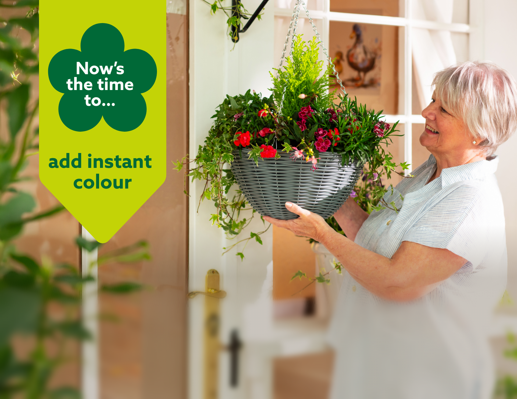 Hanging Baskets