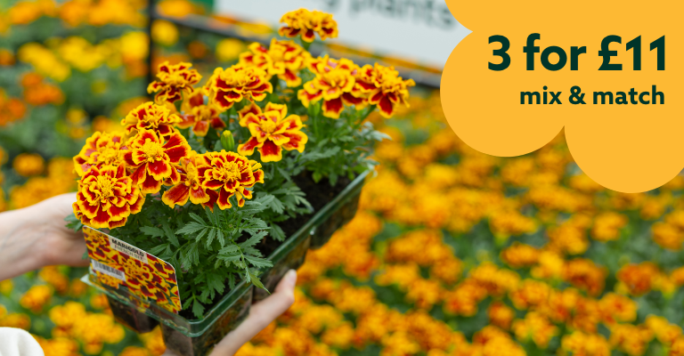 3 for £11 mix & match Pack Bedding