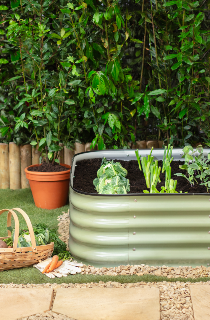 Gardening tips for July