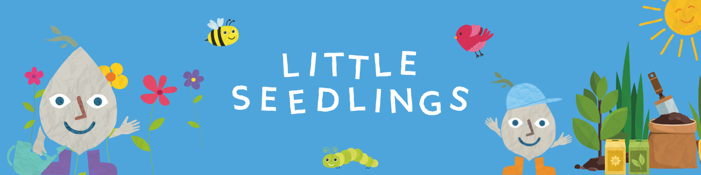 Little Seedlings Workshops