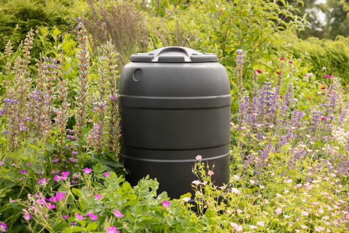 How to keep your garden watered during a hosepipe ban