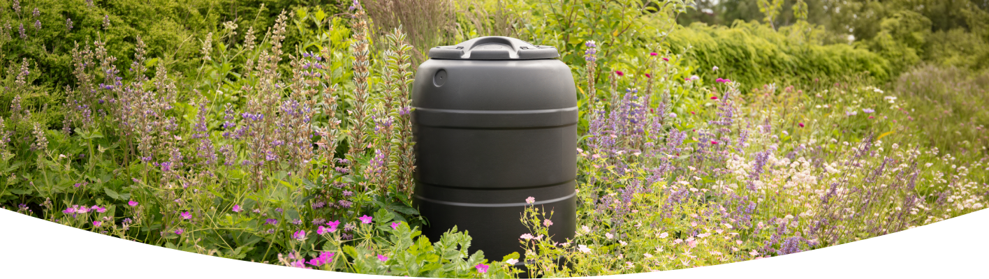 How to keep your garden watered during a hosepipe ban
